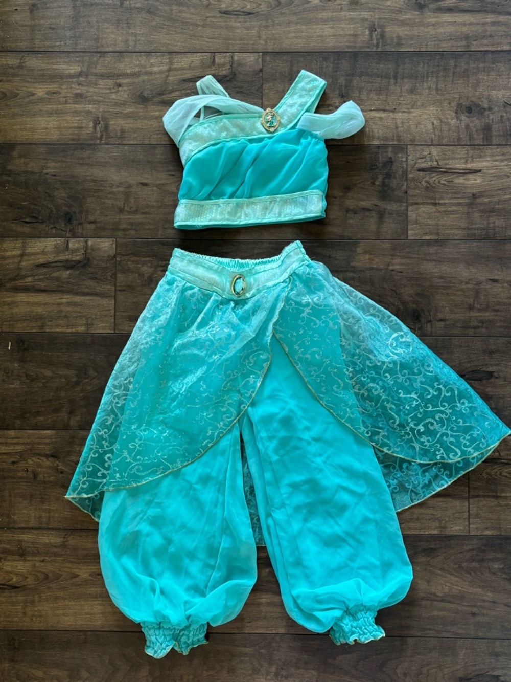 Disney Princess Jasmine from Aladdin Costume Set with Gold Accent